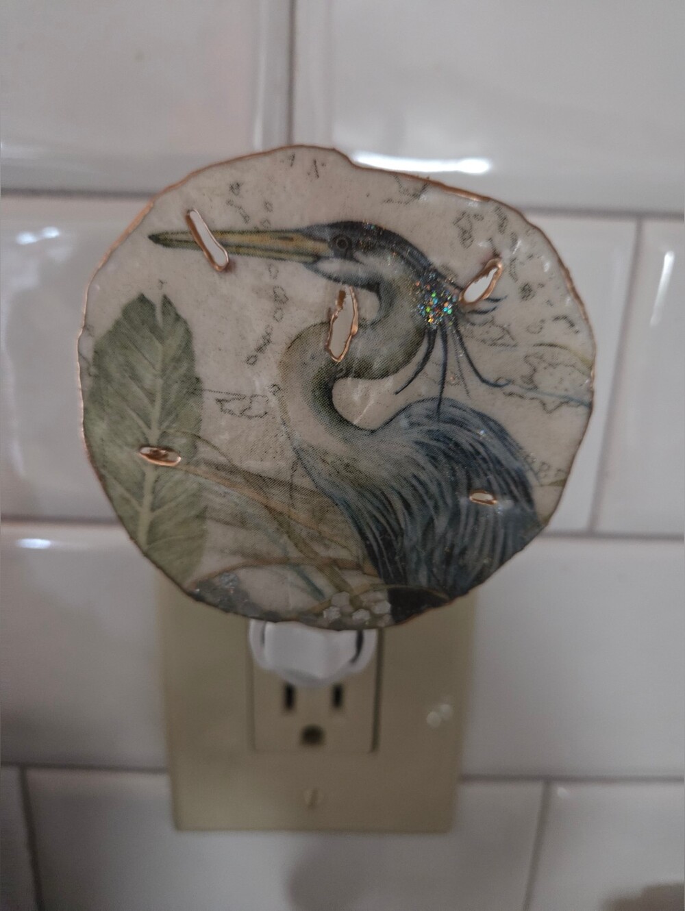 Nite Light Of Blue Heron Design On A Natural Sand Dollar